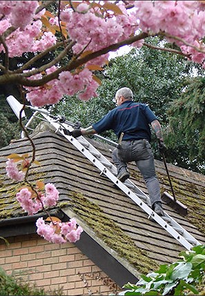 Our staff cleaning moss from the roof.